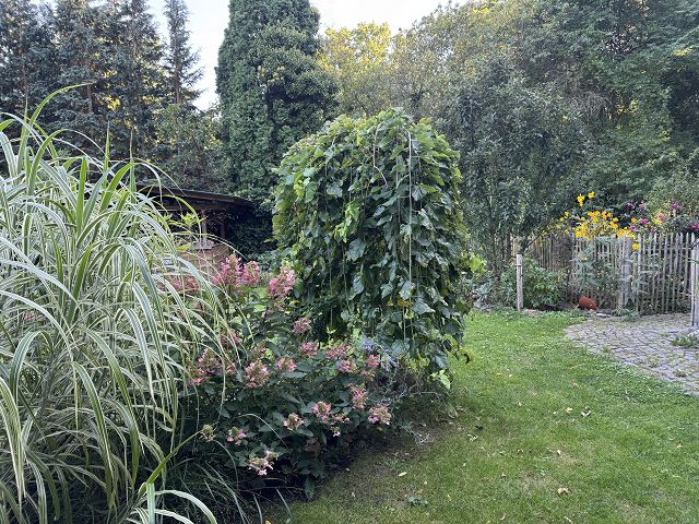 k-IMG_7555 k-IMG_7555