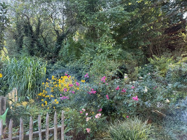 k-IMG_7568 k-IMG_7568