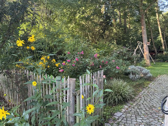 k-IMG_7579 k-IMG_7579